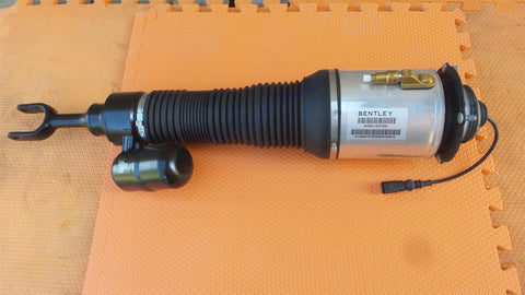 Bentley 4W0616039D Air Suspension Strut Front Left Arnott AS-2581 Continental