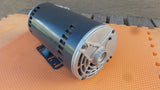 Carrier HD60FE655 Motor 5K49WN4551Z Marathon HD60FK656 HD60FK655 5HP