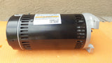 Century SQ1302V1 Pool Pump Motor AO Smith Filter SQ1302 Square Flange