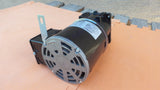 Electro Freeze HC151129 Gear Motor 016-242-2011 Bison AC Gearmotor 1/8HP