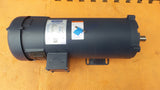 Leeson 108262.00 DC Permanent Magnet Motor C4D17FK19F 180V 1750 RPM