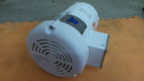 Leeson 119482.00 Washdown Motor C6T34WK33A 48ZG06 2HP 230V 460V 3PH