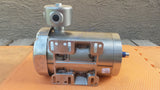 Leeson 121882.00 Washdown Motor CZ145T17UK1E Stainless Steel 2HP 230V
