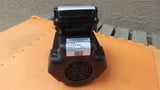 Pentair 354810S Pump Motor 355205S Whisperflo Challenger Sta-Rite Max-