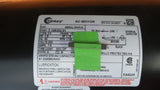 York S1-02435825000 Blower Motor 7-196302-01 Century 0243582500 1-1/2h