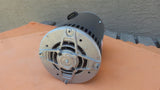 York S1-02440796000 Condenser Fan Motor 56T11ORO40013A1A Leeson 2HP
