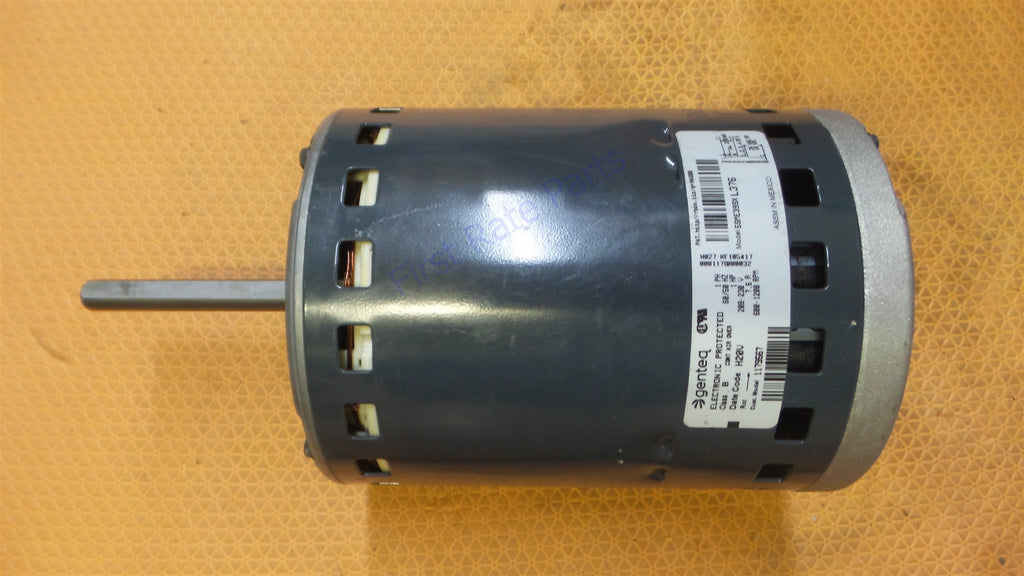 OEM TRASPORTATORE BRYANT Payne 1/3 HP 115 Volt Fornace Motore Ventola OEM TRASPORTATORE BRYANT Payne 1/3 HP 115 Volt Fornace Motore Ventola